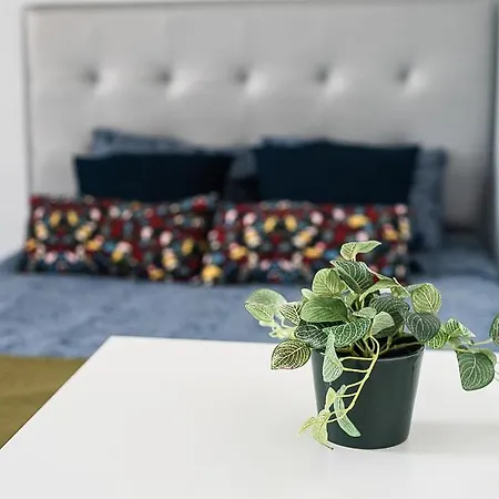 Hostal Private In Heart Of Barcelona